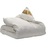 Ten Cate Dekbed - Donzen Dekbed 140x220 - 4 Seizoenen Dekbed - 90% Gan...