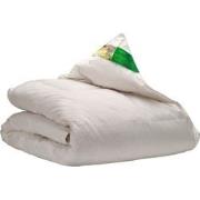 Ten Cate Premium Gerecycled donzen 4-seizoenen dekbed - 200x200