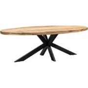 Eettafel Ovaal 200 + Poot