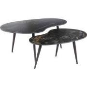 AnLi Style Salontafel set/2 niervormig fossil