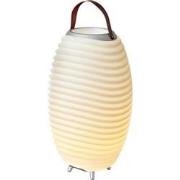 KOODUU Synergy 65 Stereo Luidspreker, LED Licht, Wijnkoeler en Bluetoo...