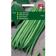 5 stuks - Haricot Vert Argus