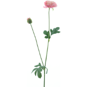 New ranunculus spray Flaine pink 55 cm kunstbloem