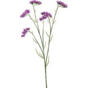 Statice spray purple 67 cm Emerald