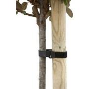 Klittenboomband met gesp 40x2,5cm set a 2 stuks