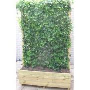 Bak Europees Hout 145 x 60 x 50 cm