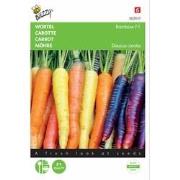3 stuks - Wortel Rainbow F1
