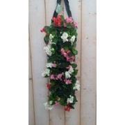 2 stuks - Hangzak Begonia Kleur Varieert