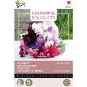 Colourful Bouquets, Royal Family (lathyrus)