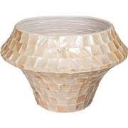 PTMD Daven Cream Poly Shell Bamboo Pot Round Low L