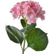 Clayre & Eef Kunstbloem Hortensia 65 cm Roze Kunststof
