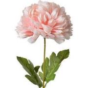 Clayre & Eef Kunstbloem 80 cm Roze Kunststof