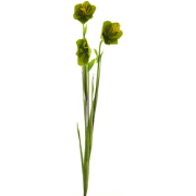 Cora bell spray tt green 79 cm kunstbloem