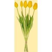 URBANJNGL - Tulpen boeket - 5 stuks - Verschillende kleuren - 'Real To...