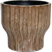 HS Potterie Vigo Bruin - cm