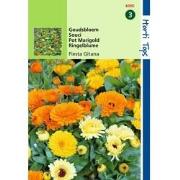 2 stuks - Calendula Officinalis Fiesta Gitana Gemengd