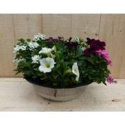 Zinken bak zomerbloeiers wit/roze/paars dia. 30 cm