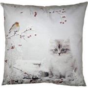 Clayre & Eef Kussenhoes  45x45 cm Wit Polyester Kat Sierkussenhoes
