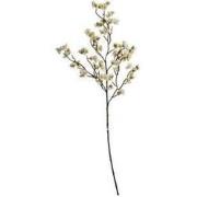 Bloesemsteel l103 cm creme kunstbloem zijde nepbloem