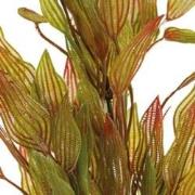 Sf art plant 40 cm henkelianus