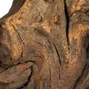 Mopani wood 20kg small Aquadistri