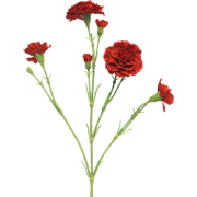 (Best) Dianthus Charly red 62 cm kunstbloem