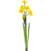 Narcissus Crailo spray yellow 50 cm kunstbloem