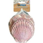 Deco schelp paars 200 gram Superfish