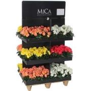 Mica Decorations Kunstplant Begonia - 80x60x120 cm - Polyester - Wit