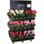 Mica Decorations Kunstplant Geranium - 80x60x120 cm - Polyester - Roze