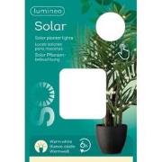 Solar plantlampjes warm wit