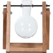 URBANJNGL - Stekjes standaard - 1 glazen vaasje - Hydroponic vaas voor...