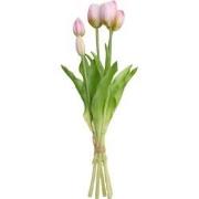 Boeket 5 Tulpen Lichtpaars