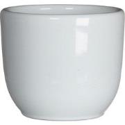 5 stuks - Bloempot Pot rond tusca 6.5 x 7.5 cm wit Mica