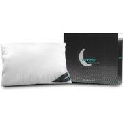 Lanotte® - Hoofdkussen 100%  Lyocell 60x70 cm