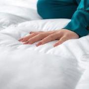 Lanotte® - Dekbed 15%/85% Dons-Veren - 200x200 cm