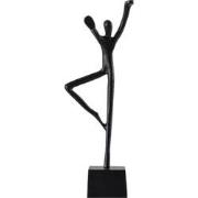 PTMD Deco Object Eagen - 19x12x44 cm - Aluminium - Zwart