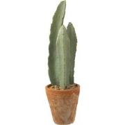J-Line - Cactus 3 Stuks In Pot Plastiek Groen Small - 14x14x47cm