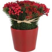 J-Line - Rozen+bessen In Pot Cement Plastiek Rood/groen - 20x20x25cm