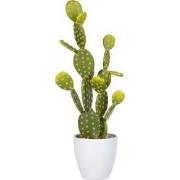 J-Line - Vijgcactus Groen/melamine Wit Large - 16x16x57cm