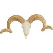 J-Line - Schedel Schaap Resine Wit/goud Small - 32x11x16cm