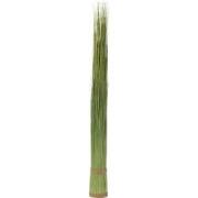 J-Line - Grassen Bundel Plastiek Groen Medium - 11x11x124cm