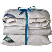 Ten Cate 60% Eendendonzen 4 seizoenen dekbed 140x200 + 1 eendenveren h...