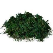 Clayre & Eef Decoratie Mos 40x30 cm Groen Kunststof