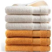 DoubleDry Hotel Handdoeken 50 x 100 cm – Set van 6 – 100% Katoen 500 g...