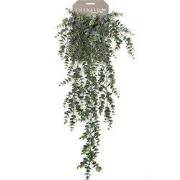 Hangplant op steker 4