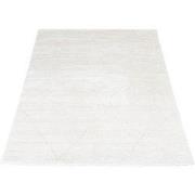 Vloerkleed Nica 1606 - 200 x 280 cm