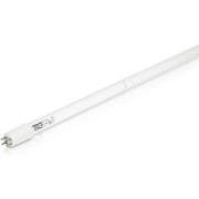 Tl lampje tuv 36 t5 75w jumbokoi