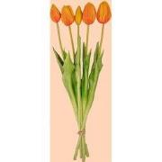 URBANJNGL - Tulpen boeket - 5 stuks - Verschillende kleuren - 'Real To...