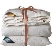 Ten Cate 90% Ganzendonzen 4 seizoenen dekbed 140x220 + 1 eendenveren h...